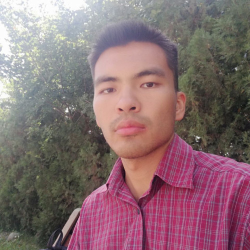 Temirlan A. profile photo