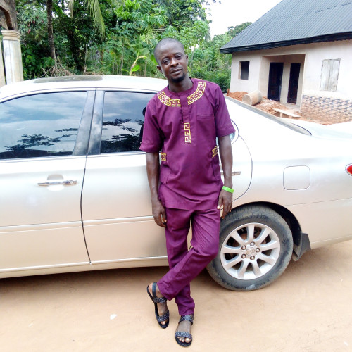 Ifeanyi  I. profile photo