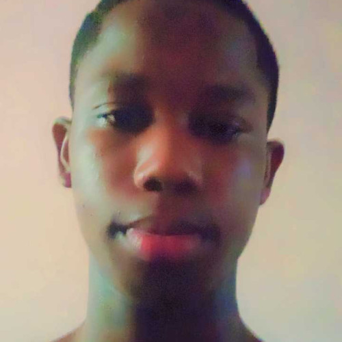 nnamdi W. profile photo
