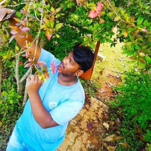 Teja a.