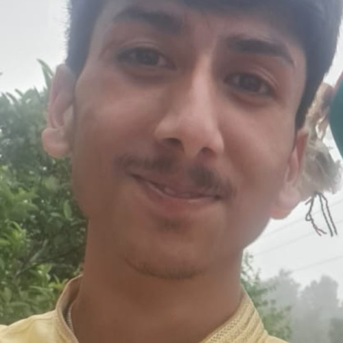 Dushyant T.