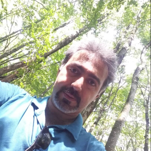 Mohammad Ali M. profile photo