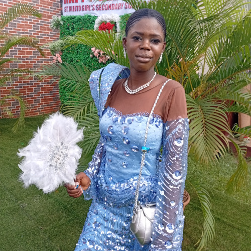 Chiamaka  S. profile photo
