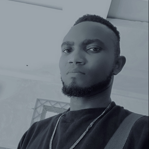 Orishegbene Aghogho  N. profile photo