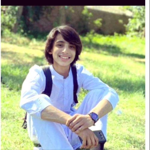 Mohammad Sajjad K. profile photo