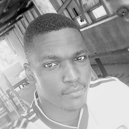Vini G.