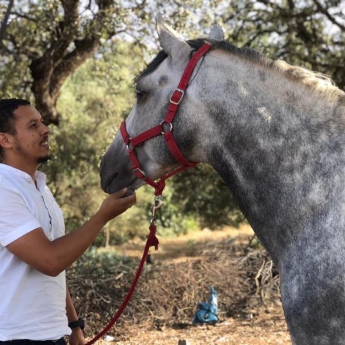 Ait isha A. profile photo