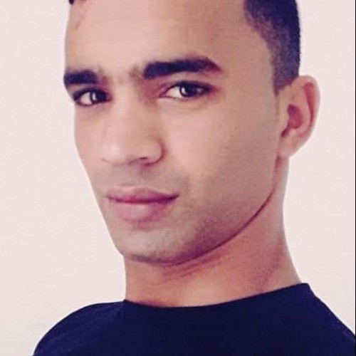 hamdi n.