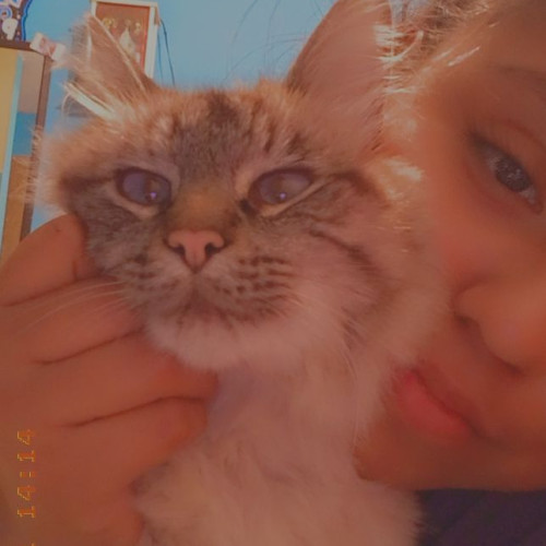 Roci G. profile photo