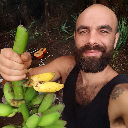 Tom V. profile photo