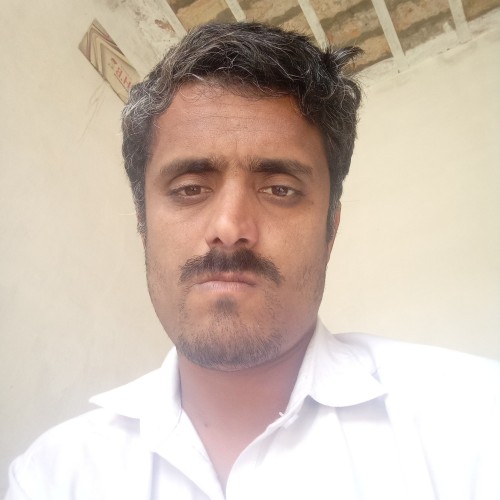Qamar Z.