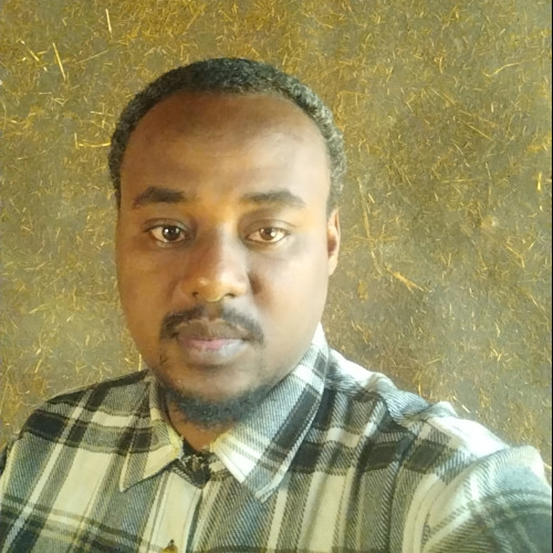 HaileGiorgis  L. profile photo