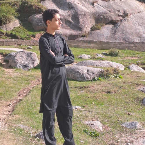 Waseem U.