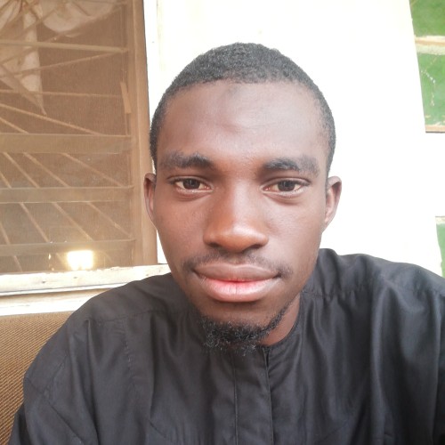 Badmus  N.