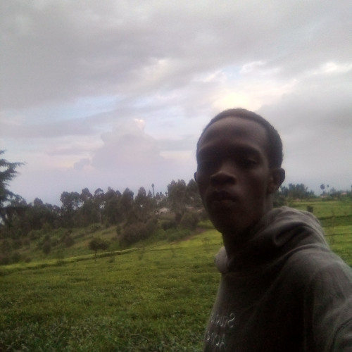 Moses  N. profile photo