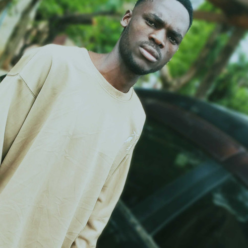 elis d. profile photo