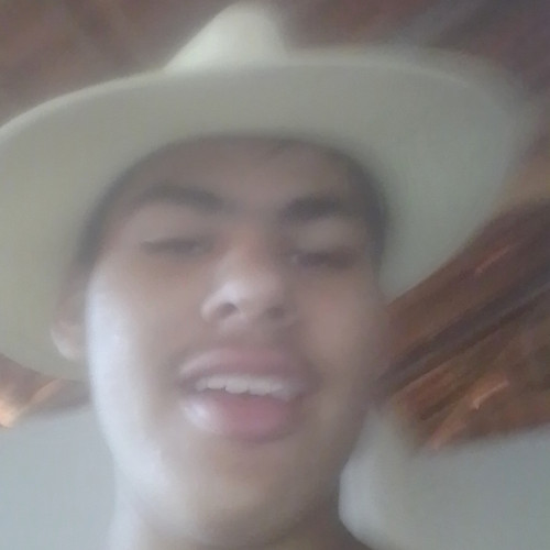 Luiz  C. profile photo