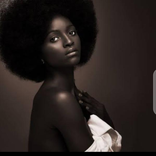 lilly l. profile photo