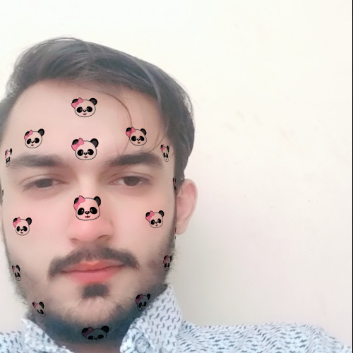 Ameer H. profile photo