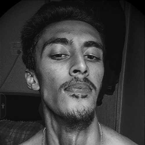 Syed A. profile photo