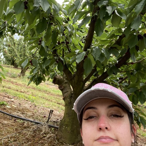 Rebecca K. profile photo