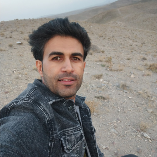 Hossein S.