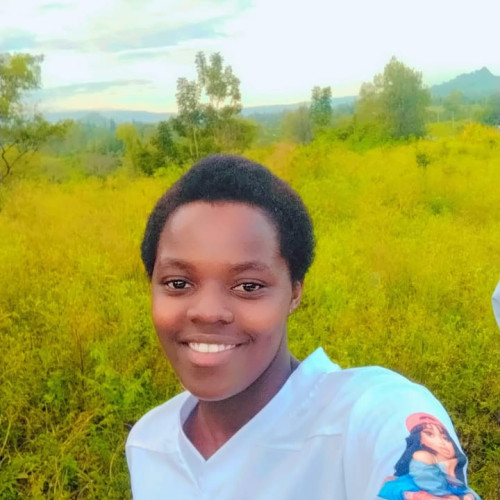 Tracy A. profile photo