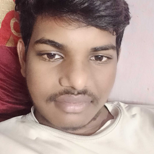 surya n. profile photo