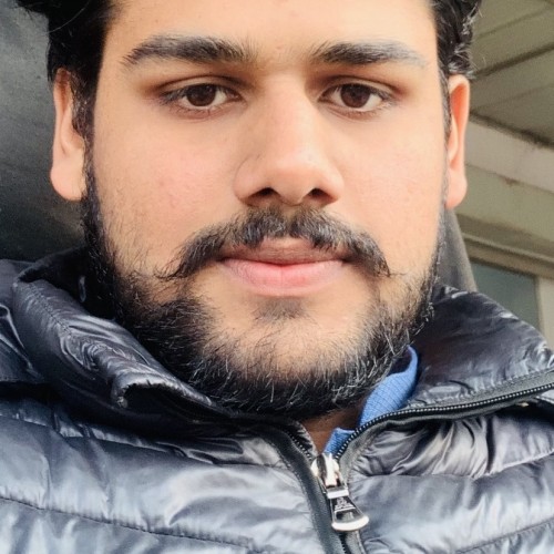 Ali H.