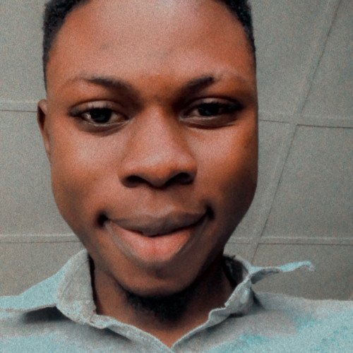 olaitan P. profile photo