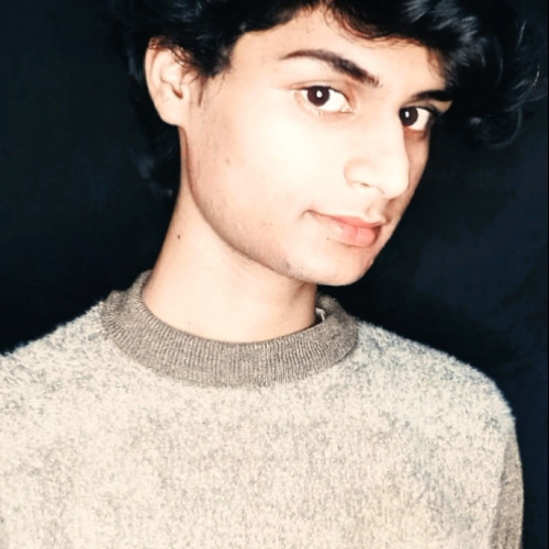 Raunak V. profile photo