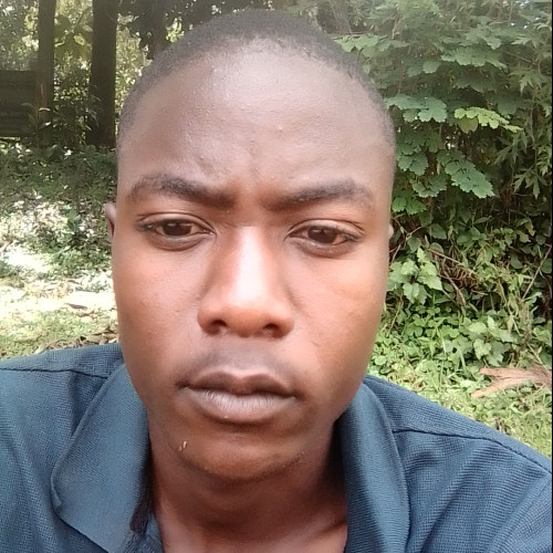 Nelson  N. profile photo