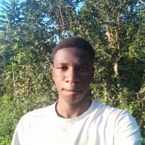 Padde K. profile photo