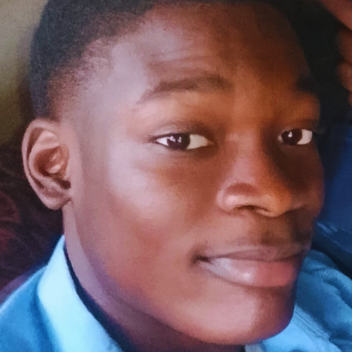 Ogunsemoyin E. profile photo