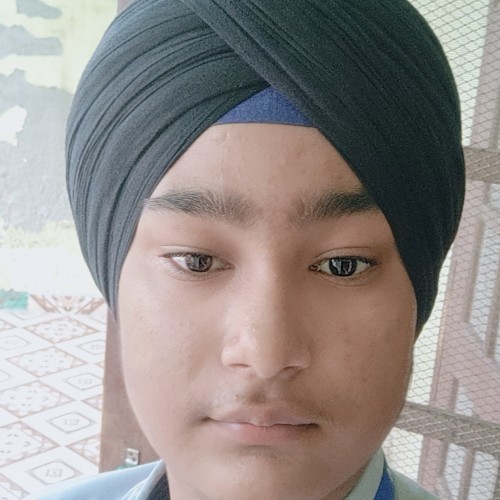 TAJINDER S.