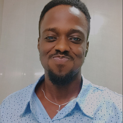 Oluwadamilola O. profile photo