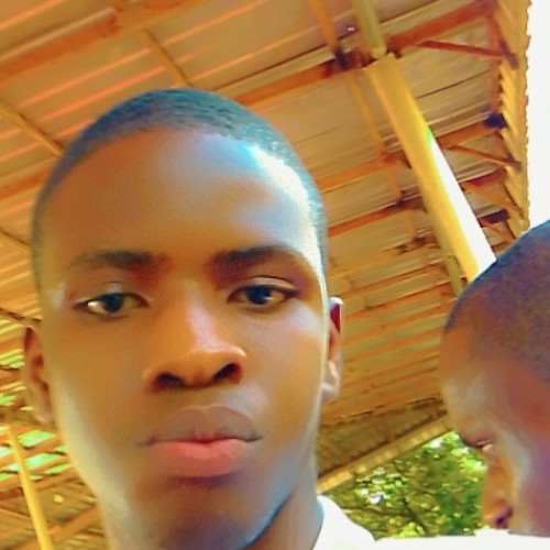 okoli p. profile photo