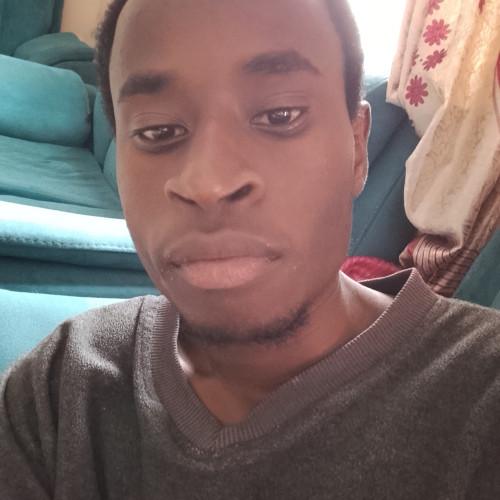 David  K. profile photo