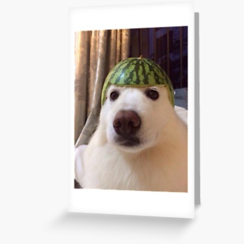 Marlon F. profile photo