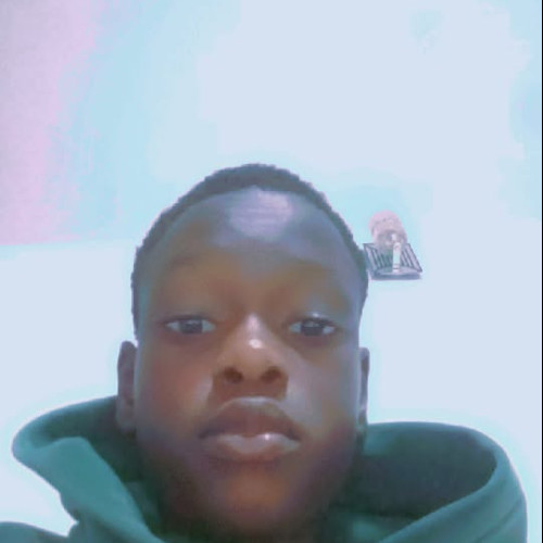Alex A. profile photo