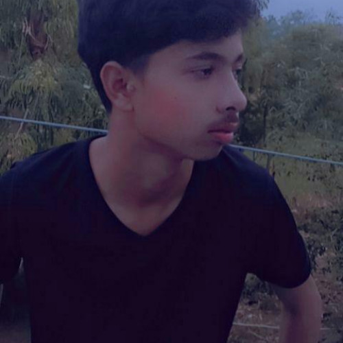 Sitanshu K.