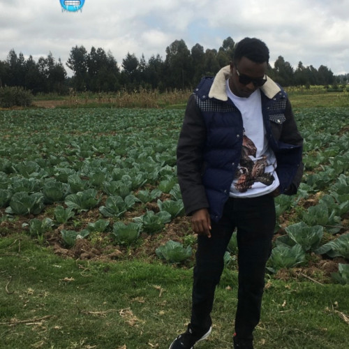 Alex K. profile photo