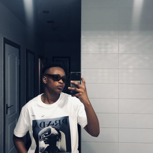Ingiphile  N.