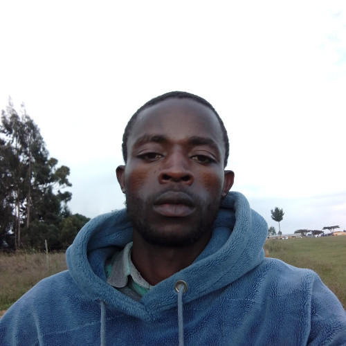 Phineas M. profile photo