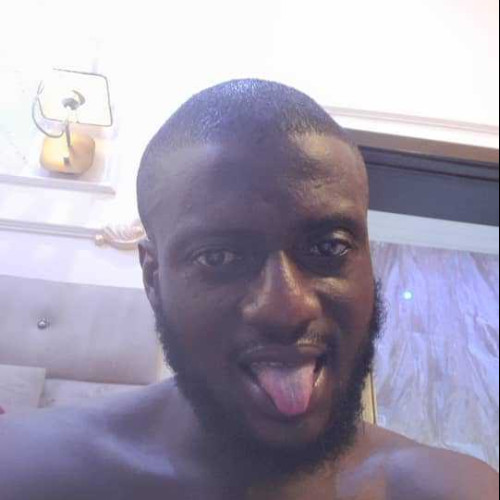 Stephen E. profile photo