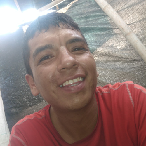 Migué  T. profile photo