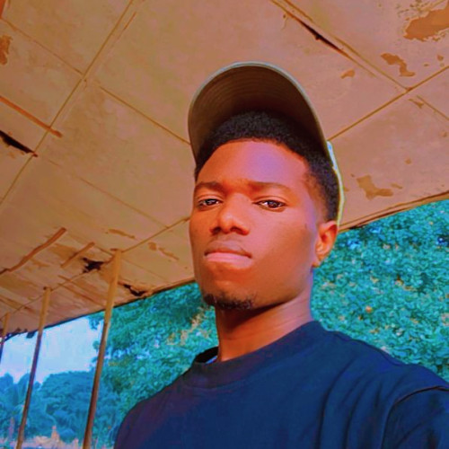 Emmanuel N. profile photo
