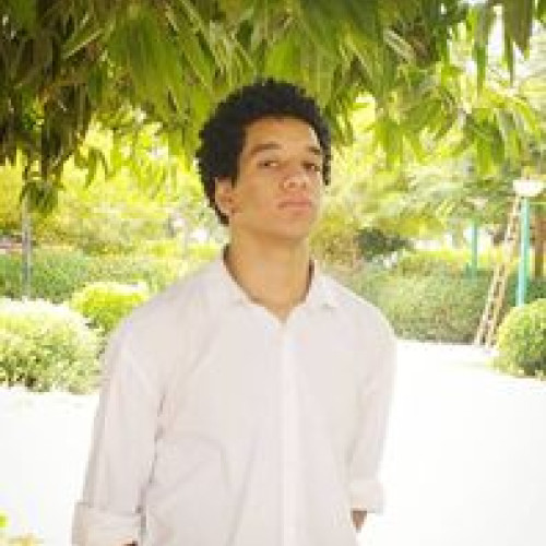 Mahmoud a. profile photo