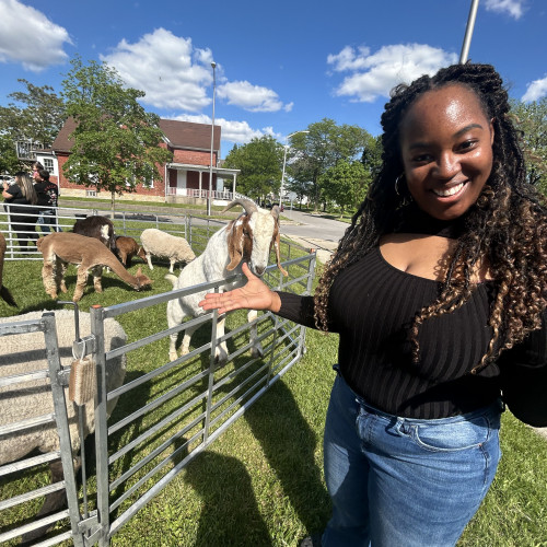 Brittany T. profile photo