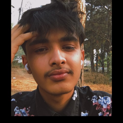Bishal D.
